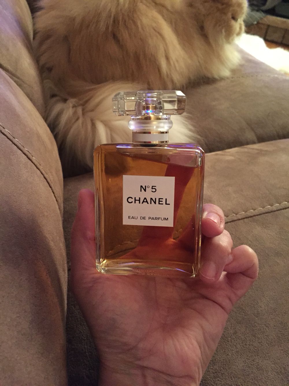 KIT PERFUM (GOODGIRL + CHANEL#5+ FAME)